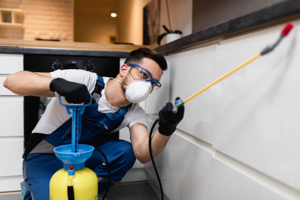 Best Pest Prevention Services  in Blauvelt, NY