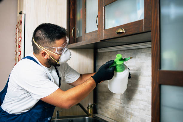 Best Commercial Pest Control Services  in Blauvelt, NY