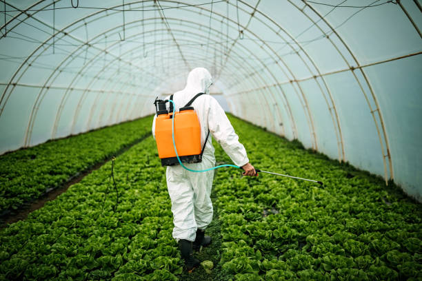 Best Residential Pest Control  in Blauvelt, NY