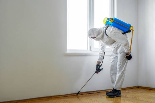 Best Bed Bug Extermination  in Blauvelt, NY