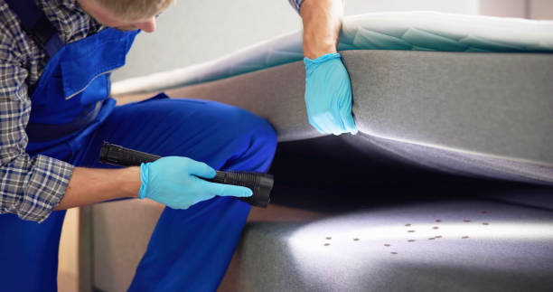 Best Pest Control Near Me  in Blauvelt, NY