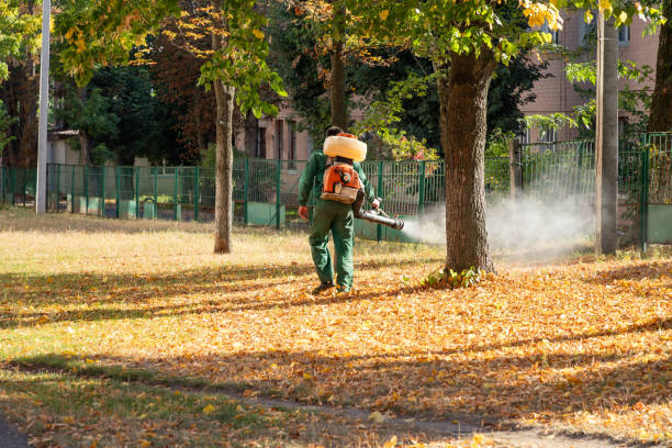 Blauvelt, NY Pest Control Company