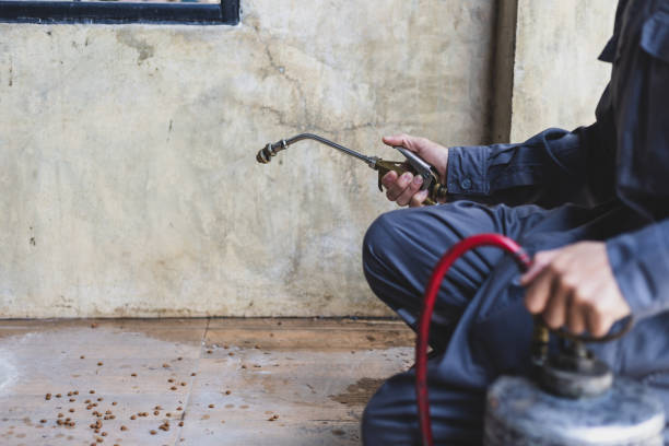 Best Pest Removal Services  in Blauvelt, NY